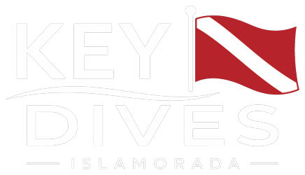 Key Dives Islamorada