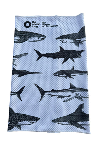 Cuellera buff Tiburones