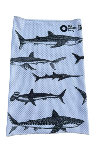 Cuellera buff Tiburones