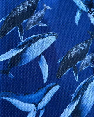 Buff cuello multifuncional The Ocean Lung con protección solar 50+, ballenas jorobadas y delfines sobre fondo azul marino oscuro, Ocean Ambassadors.
Alt text (detalle/doblado): Detalle del logo The Ocean Lung y bordado Ocean Ambassadors en el buff cuello Ballenas, tela mesh técnica azul marino.